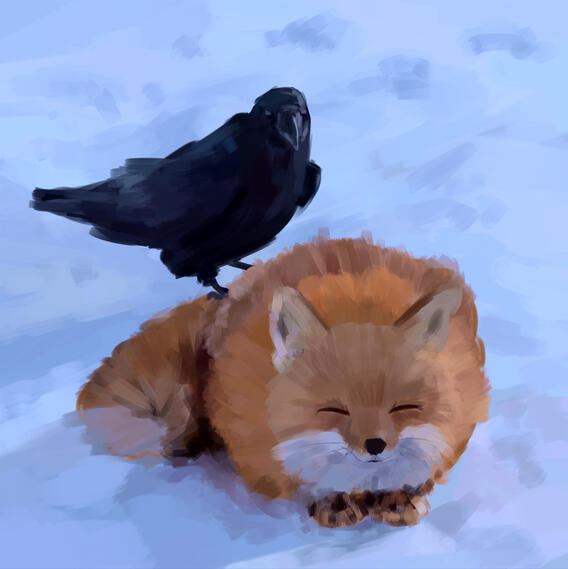Study#5
